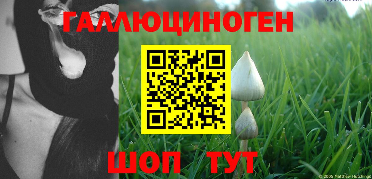 Галлюциногенные грибы мухоморы Скопин